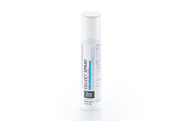 SPRAY VELOURS - Aux Arts Culinaires